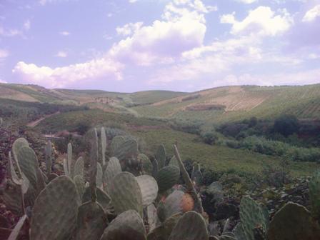 Cossentino_02