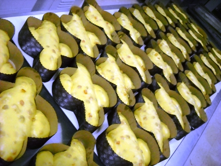 Delizia2011_1