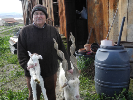 Giacomo Gatì con le sue Capre Girgentane Gati 1