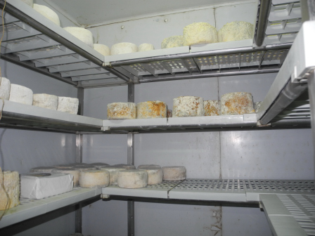 Una delle camere di stagionatura Gati 3