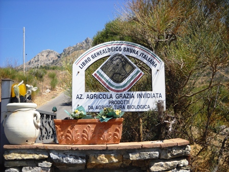 Invidiata_2010_1