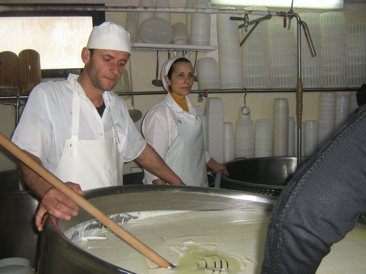 Invidiata_2010_3