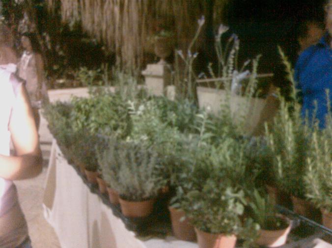 LezioniGusto1_2