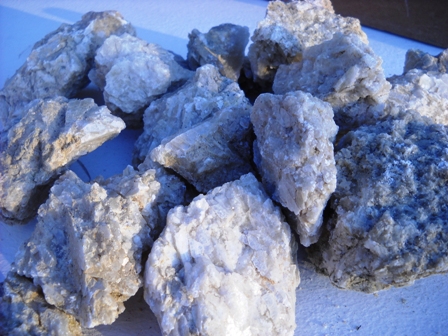 NottiPalatine2011_2.jpg