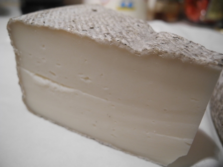 Passalacqua2011 3