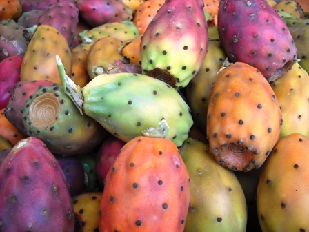 Sagra_Ficodindia_1