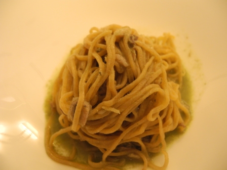 SerataStelle2011 4