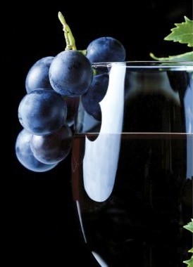 ViniMilo2010_1